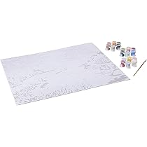 Amazon.com: Dimensions Paint By Number Japan Garden